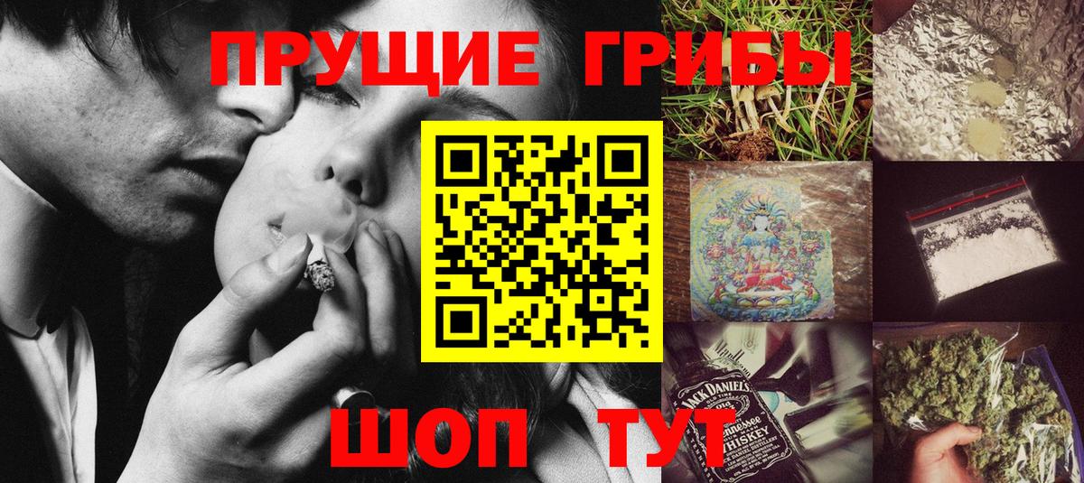 купить наркотики цена  Вход с VPN  Долгопрудный  Галлюциногенные грибы MAGIC MUSHROOMS  Галлюциногенные грибы Magic Shrooms 