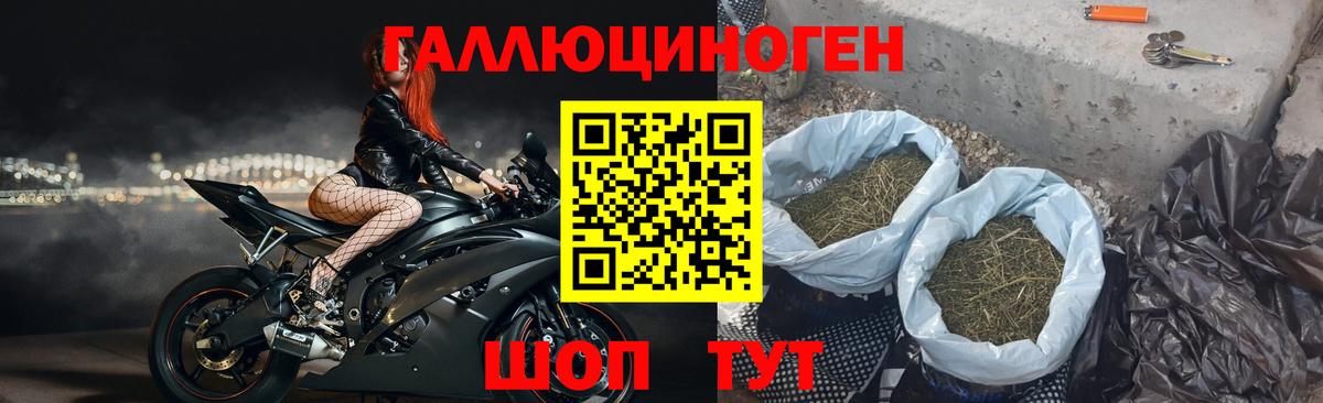 Галлюциногенные грибы мухоморы Долгопрудный